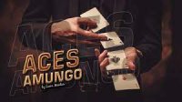 Aces Amungo by Liam Montier - Video Download